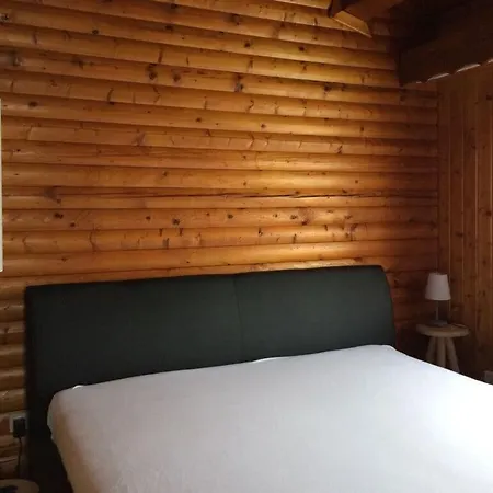 Апартаменты Log Cabin *